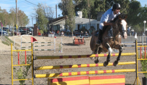 equitacion .jpg (31)