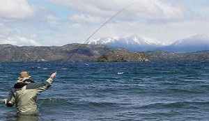 5272521c33f39_800x533