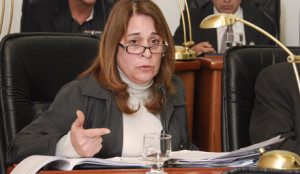 2010-08-26 Marcilla - Concejal (10)