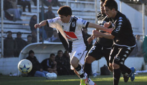 brown cippoletti (2)