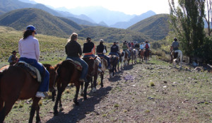 Cabalgata 21