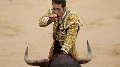toro