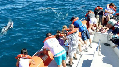 12745859_1069115949814148_7166124920661146968_n