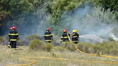 151224 Pastizales 01