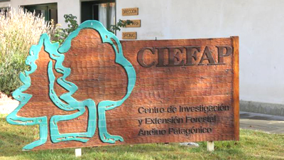 ciefap