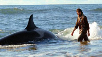 TERMINA EL RODAJE DEL FARO DE LAS ORCAS FOTO 2